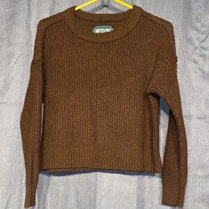 Brown Sweater